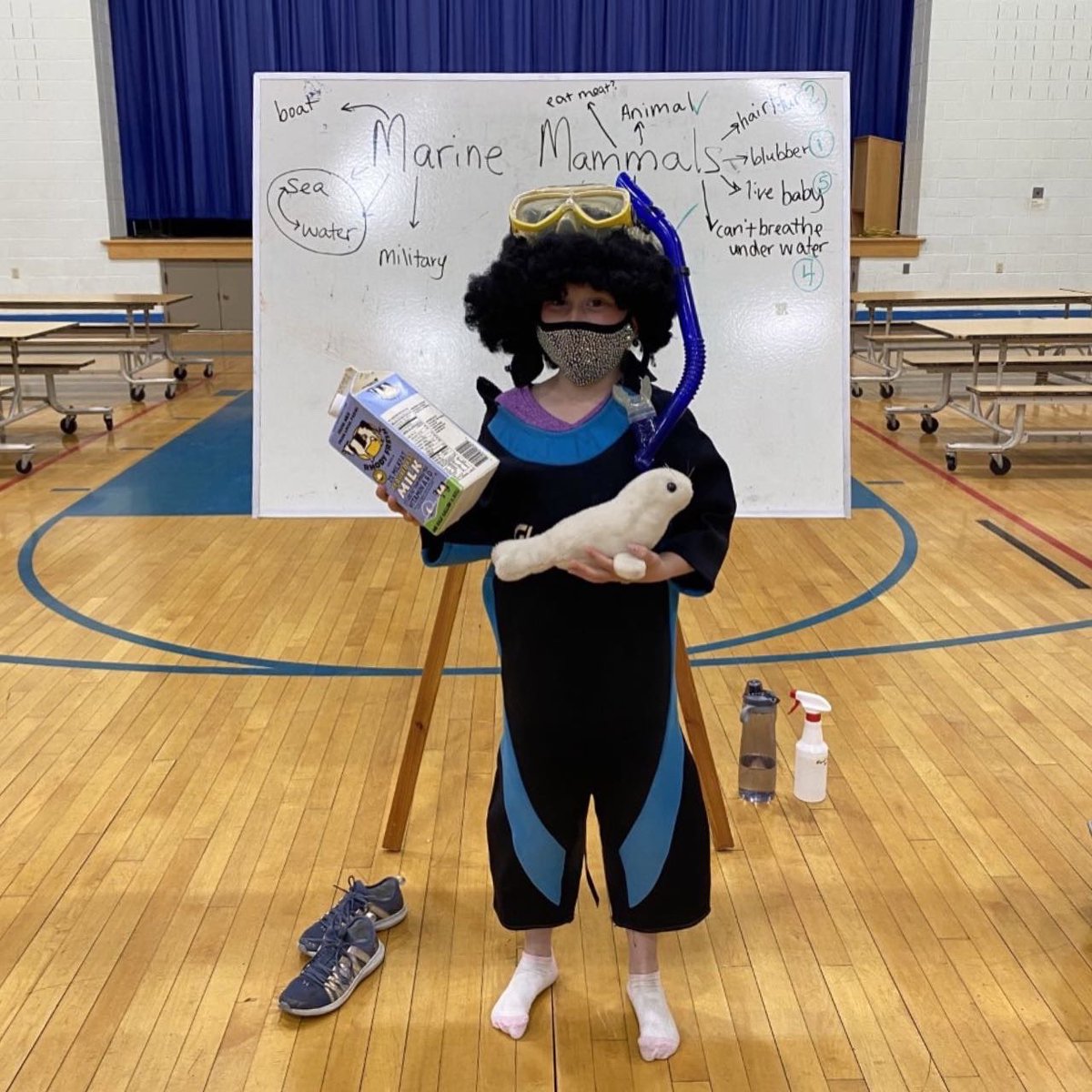 ness_sea's tweet photo. For our last day with the Voluntown Youth Bureau Services Program, we talked about MARINE MAMMALS! 🐬Students discovered all the key traits that all marine mammals share, investigated marine mammal pelts and skulls, and got to meet Lucy the whale!! 🐳🌊 https://t.co/S60aYBoPIA