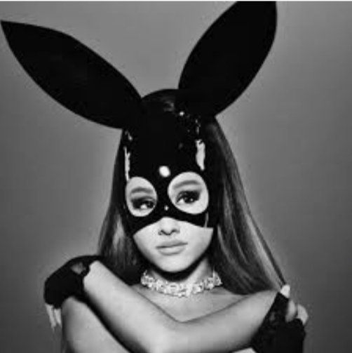 Ariana_Position tweet picture