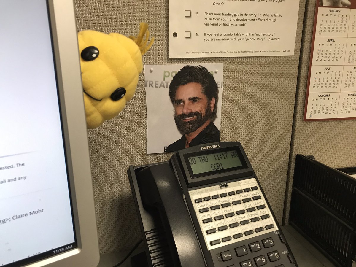 Claire_m143's tweet photo. Niblet and John Stamos seem to be getting along well!
#CCRINewbie #NibletHideNSeek https://t.co/i7F0uLXXh4