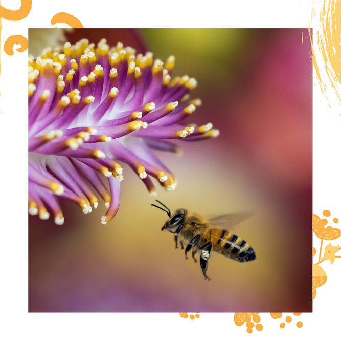 Morganecommuni1's tweet photo. En cette journée mondiale des abeilles, rappelons qu'il faut prendre soin de cette espèce 🐝
.
.
#freelance #freelancefrance #viedefreelance #communication #communicationdigitale #communitymanager #cm #communitymanagerfrance #creationdecontenu #marketing #marketingdigital #bee https://t.co/Td2B94od0f