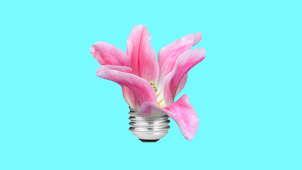 To successfully drive a #BusinessTransformation, leaders need to change their "mental model." Changing the way you think will let you see what is and is not working in the transformation.
#Leadership @DLancefield @Chrisrangen
hbr.org/2021/05/4-acti…