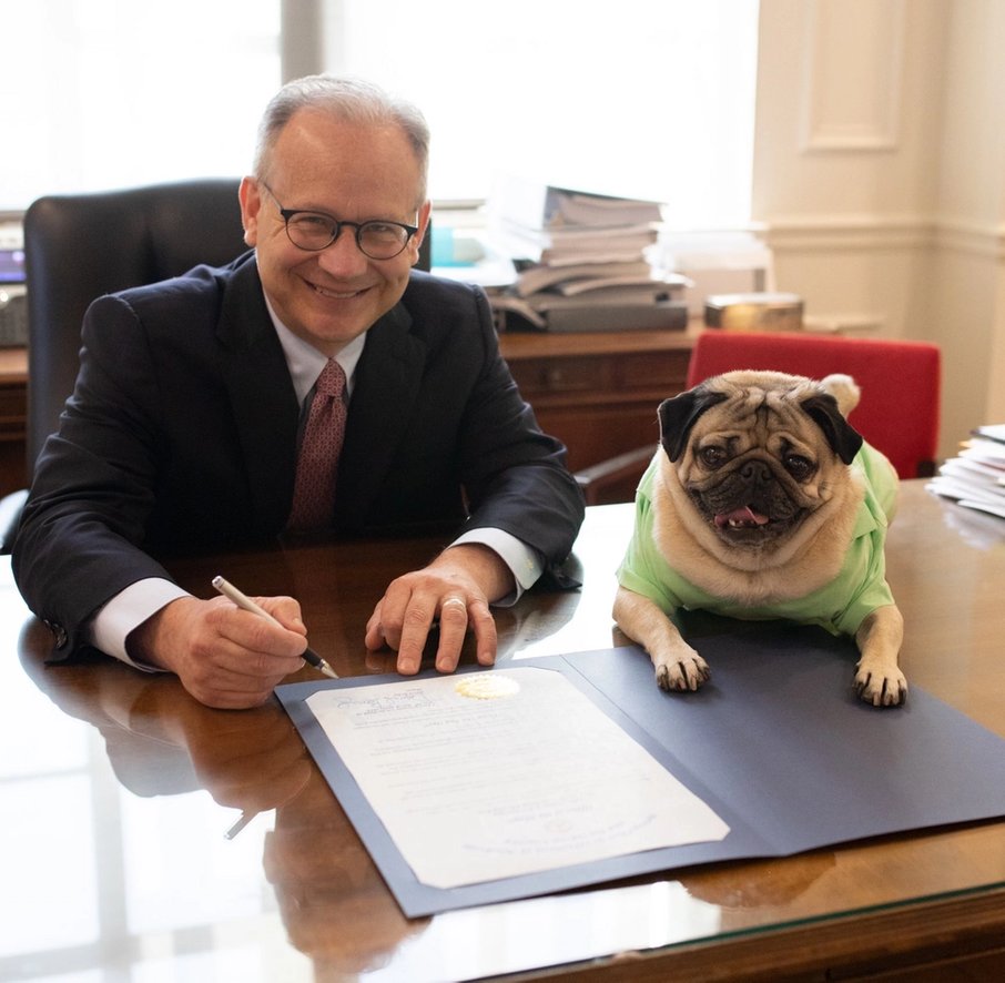 Wobarr's tweet photo. In 2019, Nashville’s Mayor signed a proclamation making May 20th, ‘Doug the Pug Day’! (It’s also his birthday.) Happy birthday, @itsdougthepug! https://t.co/bzAM6nBg3X