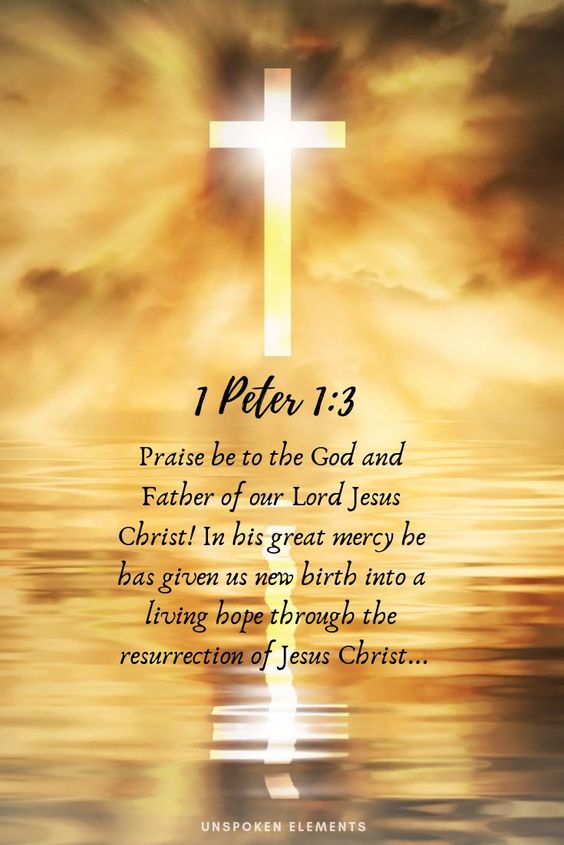 💫🙌❤️A Heavenly Inheritance❤️🙌💫 'Blessed be the God and Father of our Lord Jesus Christ, who according to His abundant mercy has begotten us again to a living hope through the resurrection of Jesus Christ from the dead' -1 Peter 1:3👑