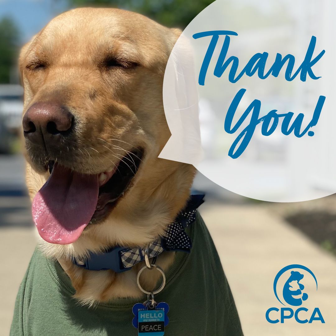 We are all smiles over here thanks to your PAW-some participation in #HVGives! 😁🐾 We are grateful for your ongoing support to Peace & children in our community. If you haven't yet, you can still read a recent success story or provide support by visiting buff.ly/3eXISIX