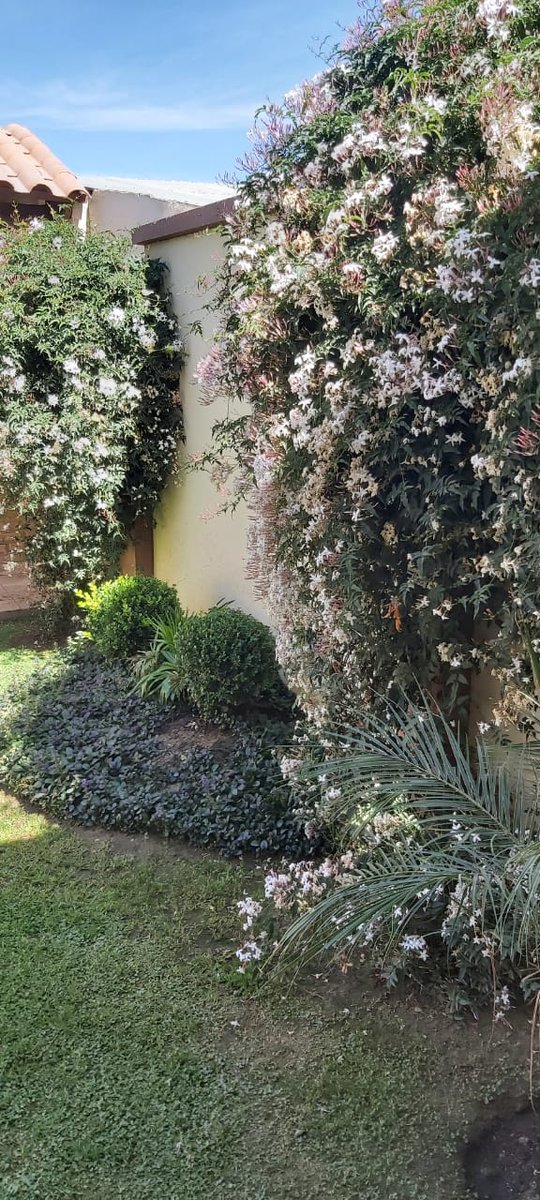 Nick Fromherz tweet media