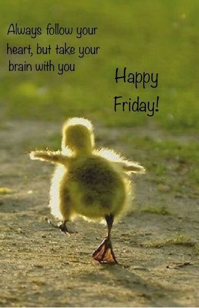BTVS15's tweet photo. Hello BTVS HS and MS Students and Parents, 

WE’RE BACK!!!!!!!!!!!!

Tomorrow is our Friday Fun Day for HS and MS!!  Be ready to get moving with us at 1:00!!!  If you have game suggestions, please let me know.

https://t.co/QOtCJo8lvi

See You @ 1PM,

Mr. A https://t.co/mJDhMH9jCh
