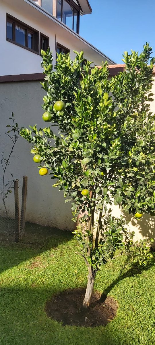 Nick Fromherz tweet media