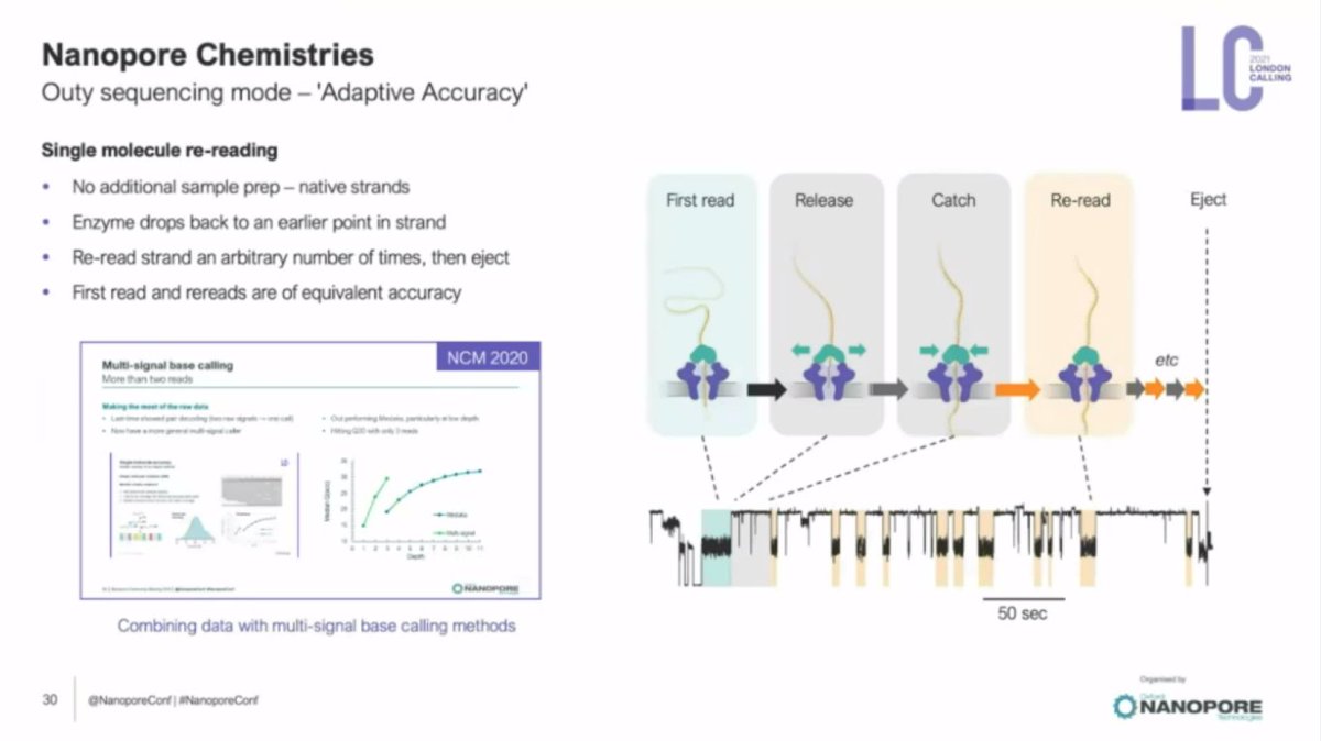 with the ability to get more and more signal reads of the same bit of DNA over and over, while real time basecalling and even polishing it out, you can eject when your read has the Q score you want...

Yep, with that, you win.

 #nanoporeconf
