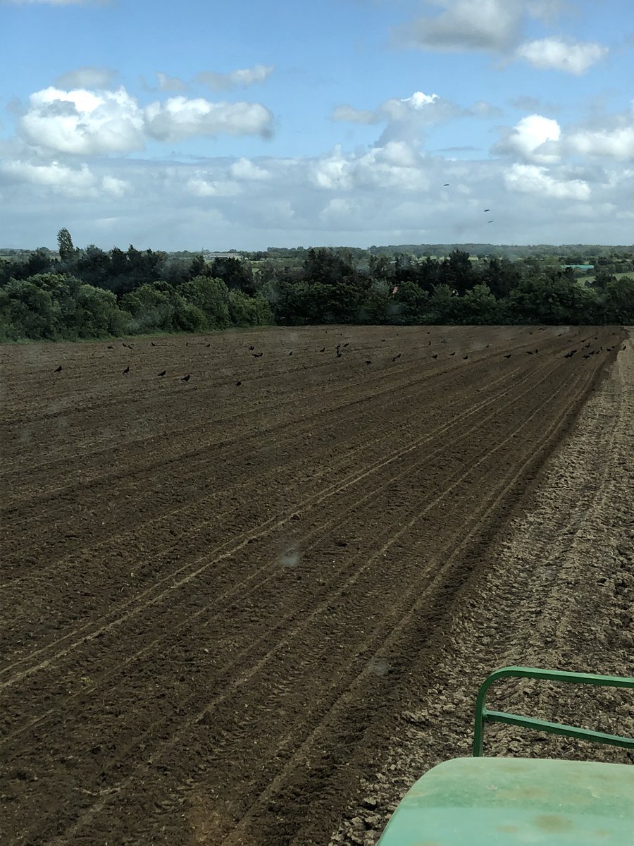 Pas sûr que mes vaches aient assez à manger cet hiver 😞. Je commence à en avoir marre de subir des décisions prises bien confortablement dans un bureau. Une chose est sûr, on ne se demande pas pour qui sera le surcoût 😠 #CeuxQuiFontLeLait #OnVousNourrit