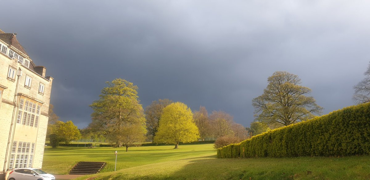 s t o r m y  s k i e s
<a href="/downsideschool/">Downside School</a>