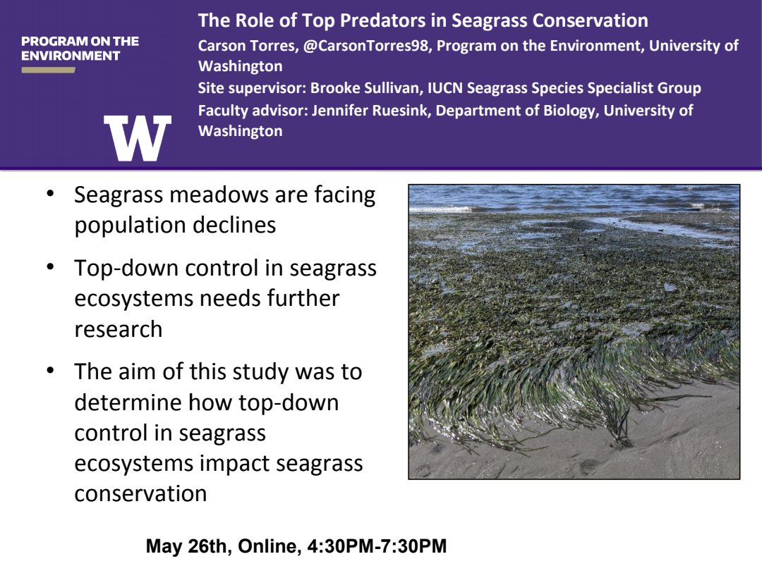 CarsonTorres98's tweet photo. Next week the current #PoE cohort will be having our #researchsymposium !! If you want to join let one of us know and we can get you the link! #ENVIR492
I'll be presenting on #seagrass and #topdowncontrol https://t.co/ygWmnQ3NzK