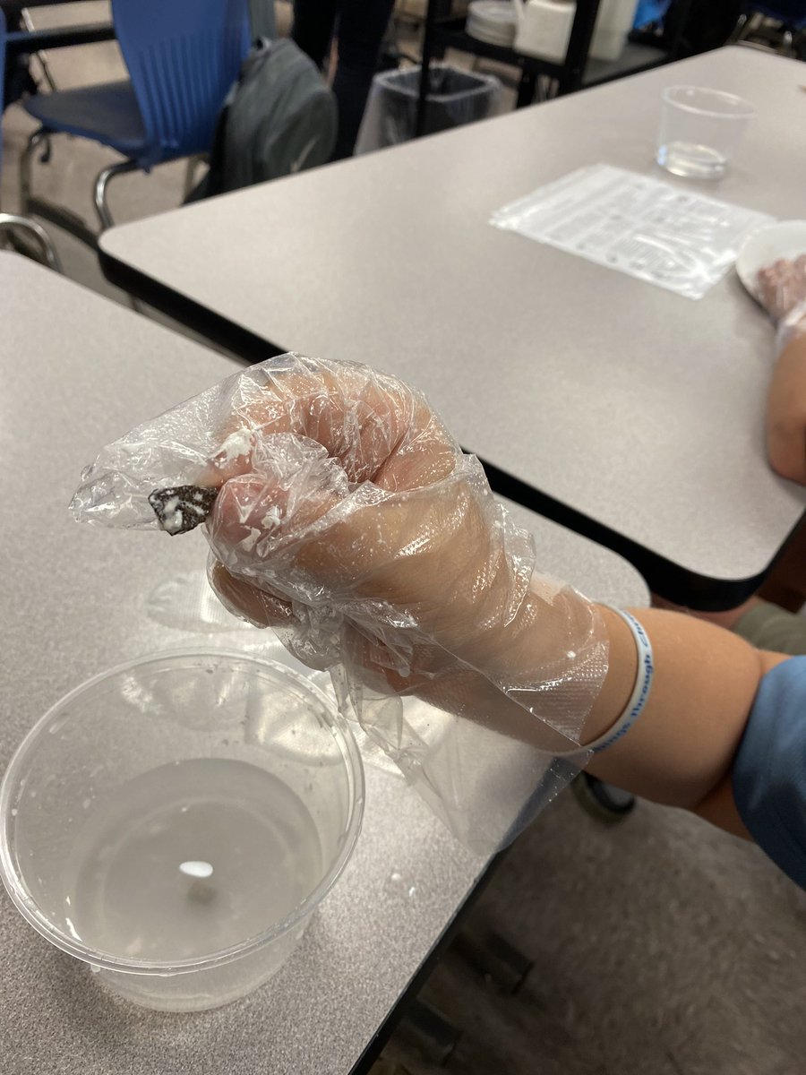 Fossil Dig <a href="/dms_tcboe/">Drew Middle School</a>