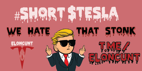 spooky_foxx's tweet photo. @elonmusk #shorttesla #stopscamming #fuckelon https://t.co/sdR2TjIKYZ