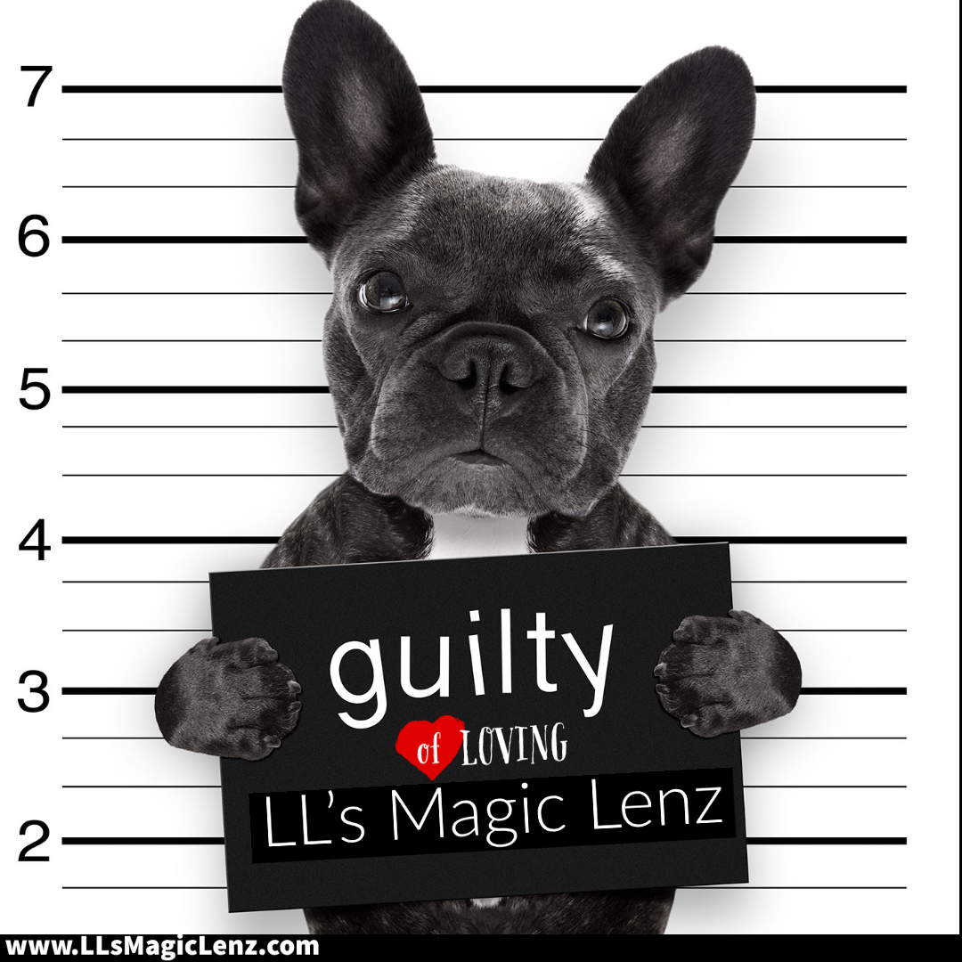 LLsMagicLenz's tweet photo. Guilty as charged!  LL's Magic Lenz Will Help Take Your Business To New Heights!
Call today for a FREE quote! Florida, Georgia, NORTH &amp; SOUTH CAROLINAS
(704) 559-9598 https://t.co/uMIqorcWmY