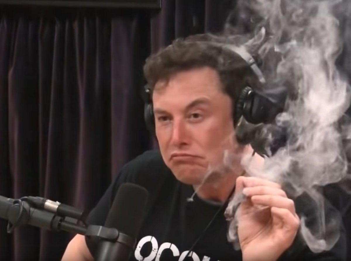 d1g1w0rm's tweet image. Need to be on the green blockchain trend. Choose #Burstcoin join #burstarmy