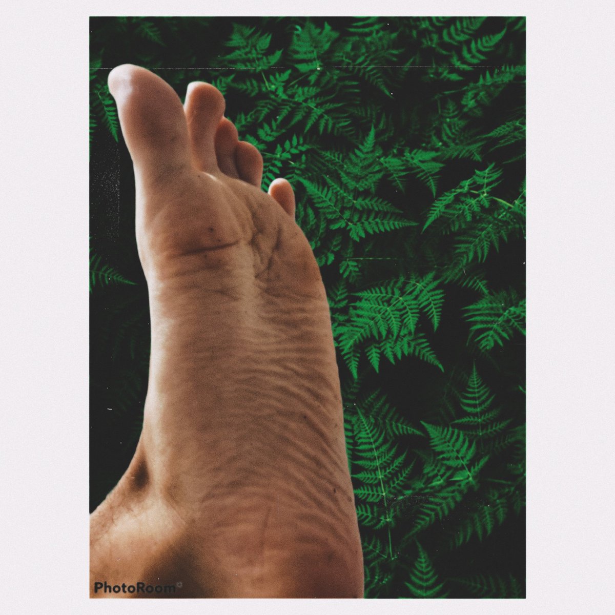 AbsFeet's tweet image. The nature under us

#fullyfashionednylons #giostockings #nylons #stockings #bronzestockings #retrolingerie #vintagestyle #feetpics #feetporn #feetfetishworld #footworshipping #nylonfeetfetish #nylonlover #toes #maturewoman #over50andfabulous #peeptoe