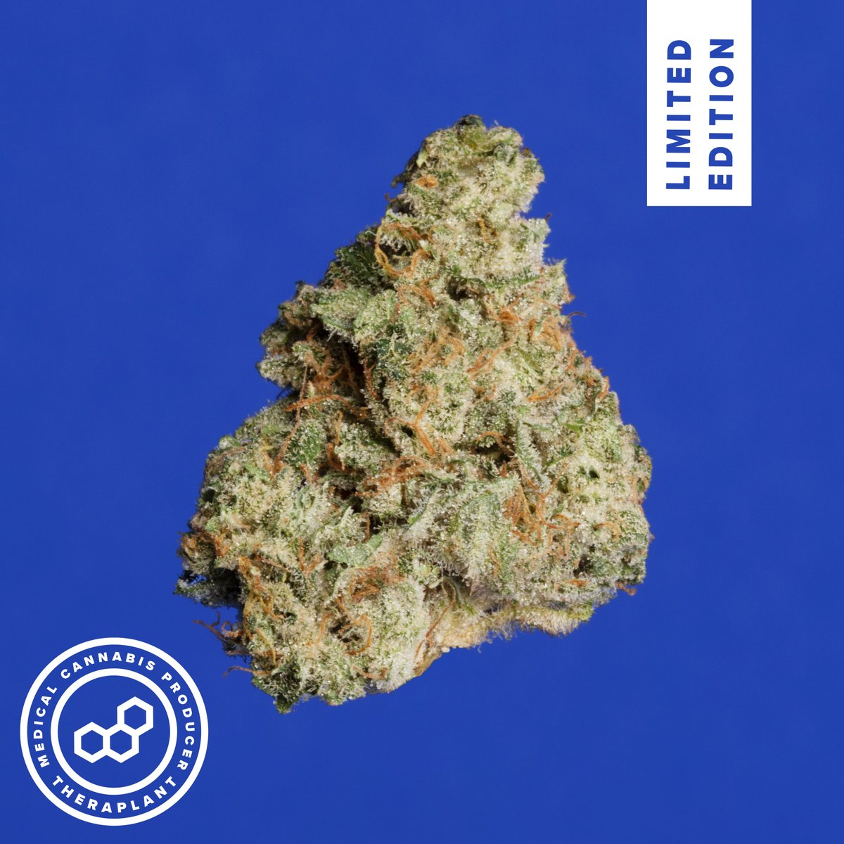 We've got a new Limited Edition strain in town! Meet Nanica T29 11909. Learn more here: theraplant.com/blog/new-strain