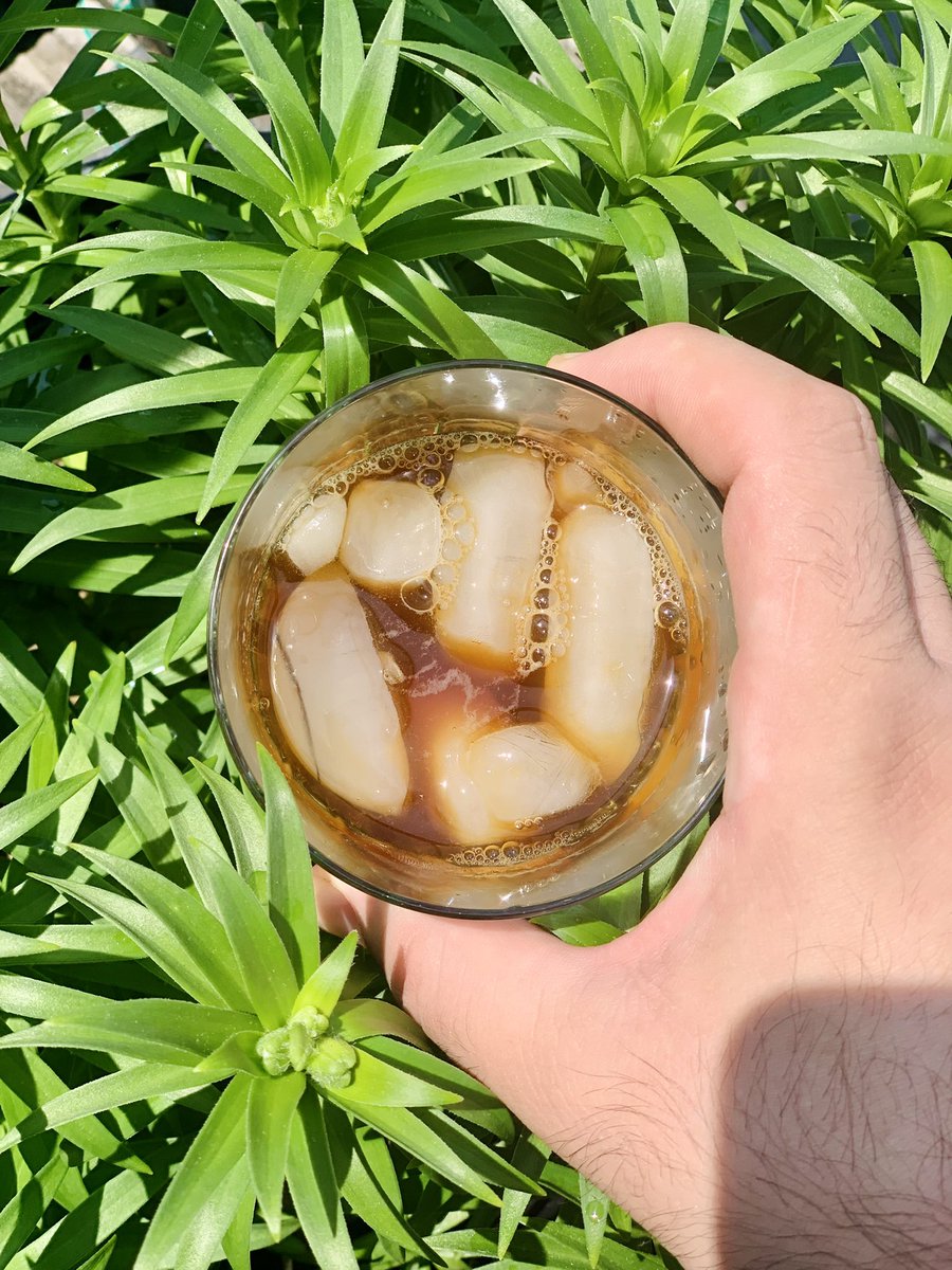 zarf's tweet photo. Edson Tamekuni Red Catuai Pulped Natural (caught in the wild) #brazil
#flashbrew #coffee #spring #zarf https://t.co/oTKRS11d42