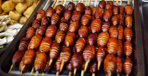 BaysoxOfficial's tweet image. With the Cicadas taking over our region, who's up for trying some for a snack at the ballpark next week?

Deep Fried? Grilled? In a Taco? Topping on a Hot Dog?
Drizzled in Nacho Cheese for those crunchy nachos?

#BroodX #cicadas #baysox 

P.S. we are not serving them on our menu.