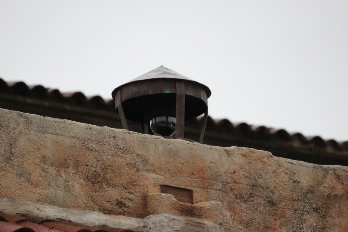 21年05月21日の注目ツイート 30ページ目 メガとんトラック