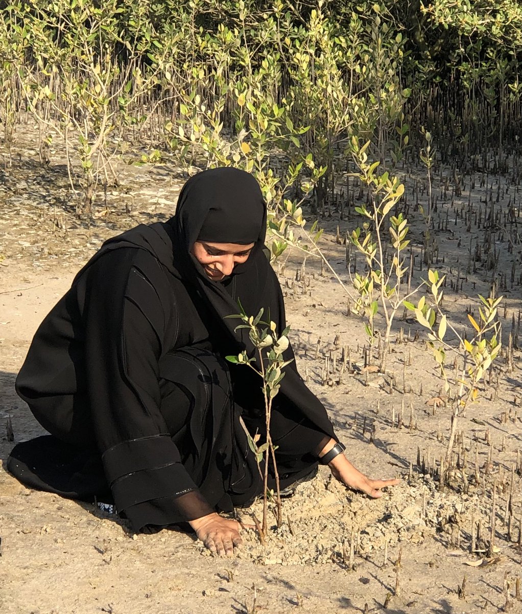 A behind the scenes image of something exciting to come... 

#magicmangroves #fortheoceans #educatemotivateactivate 

📸 Layla Khawatmi