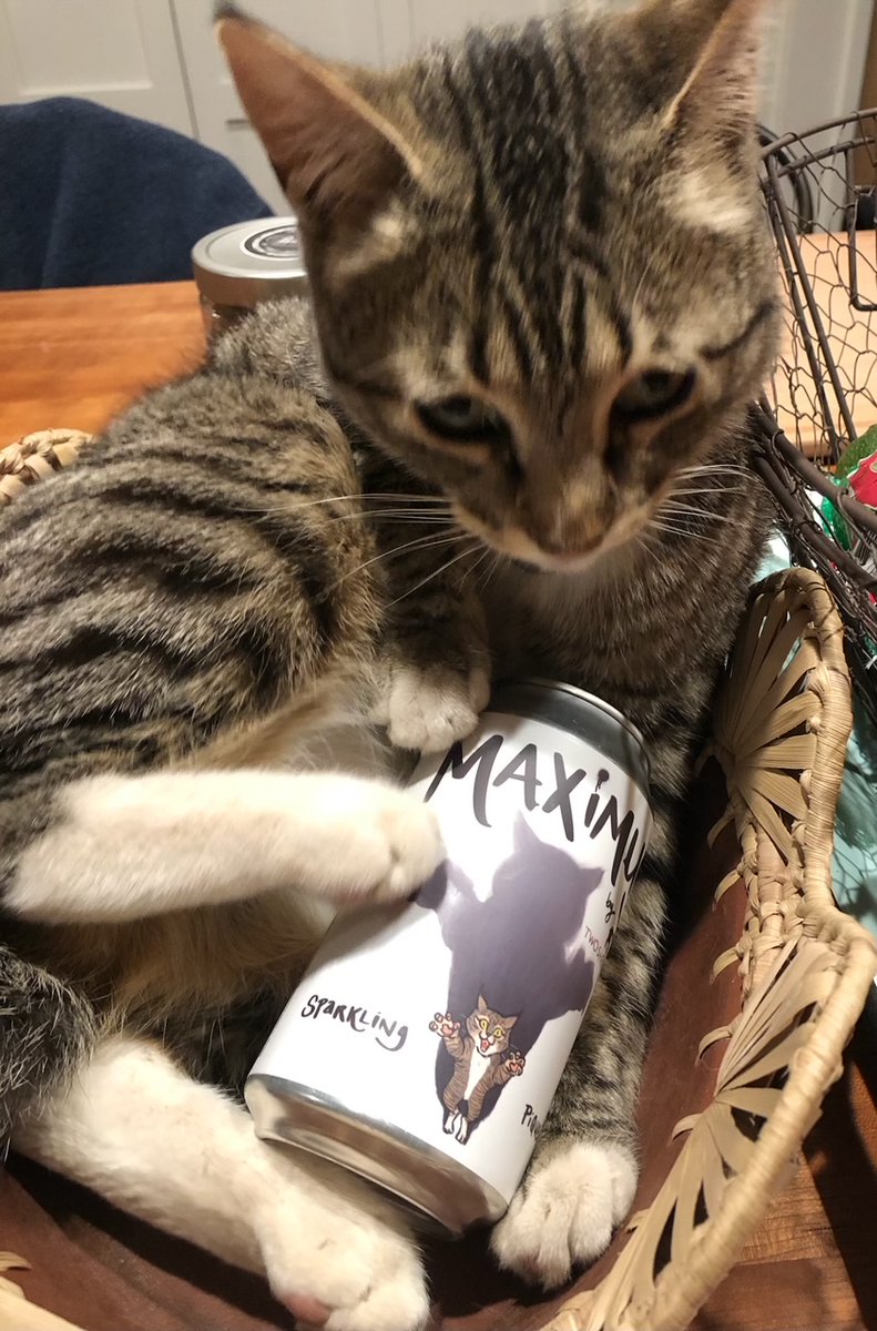 Two Shepherds Wine tweet media