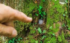 GeoCachingToronto 🇨🇦 tweet media