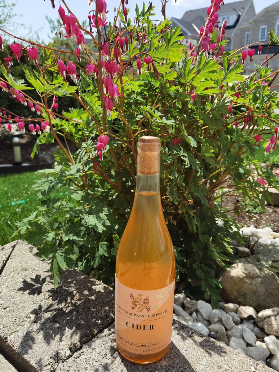 MoVernie's tweet photo. Looking for a great local winery to celebrate #VictoriaLongWeekend?

#GrangePrinceEdwardWinery is a great option with wines &amp; ciders.

All wines from the Grange are 100% estate grown and made by hand.

Cheers! Listen well.

[Partnered] 

#PEC #Estate #Vineyards #wine #winery https://t.co/jtmjLWIrmd