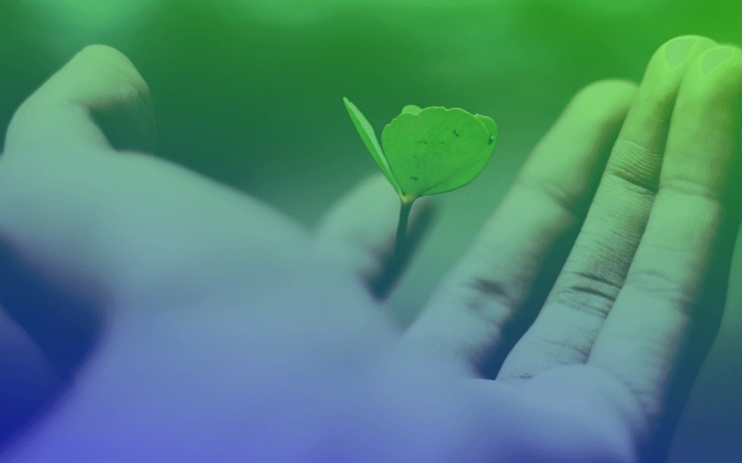 How do you gain real monthly listeners on <a href="/Spotify/">Spotify</a>? In our new blog post you'll learn from someone who just reached 10k monthly listeners on Spotify. Find the tricks that worked, and skip the ones that didn't. 

#spotify #emastered #musicproduction #spotifyfollowers