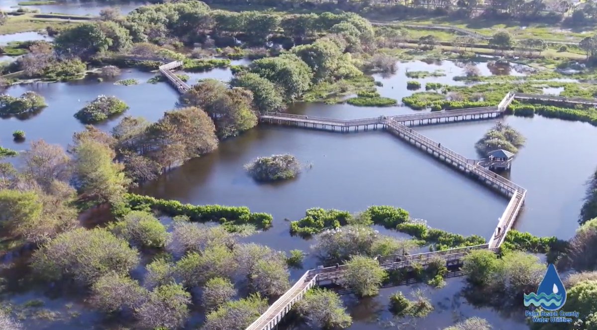 If you're looking for an example of #WaterReuse at work in #SouthFlorida, look no further than <a href="/pbcgov/">Palm Beach County</a>'s Wakodahatchee Wetlands! 

#WaterReuseWeek