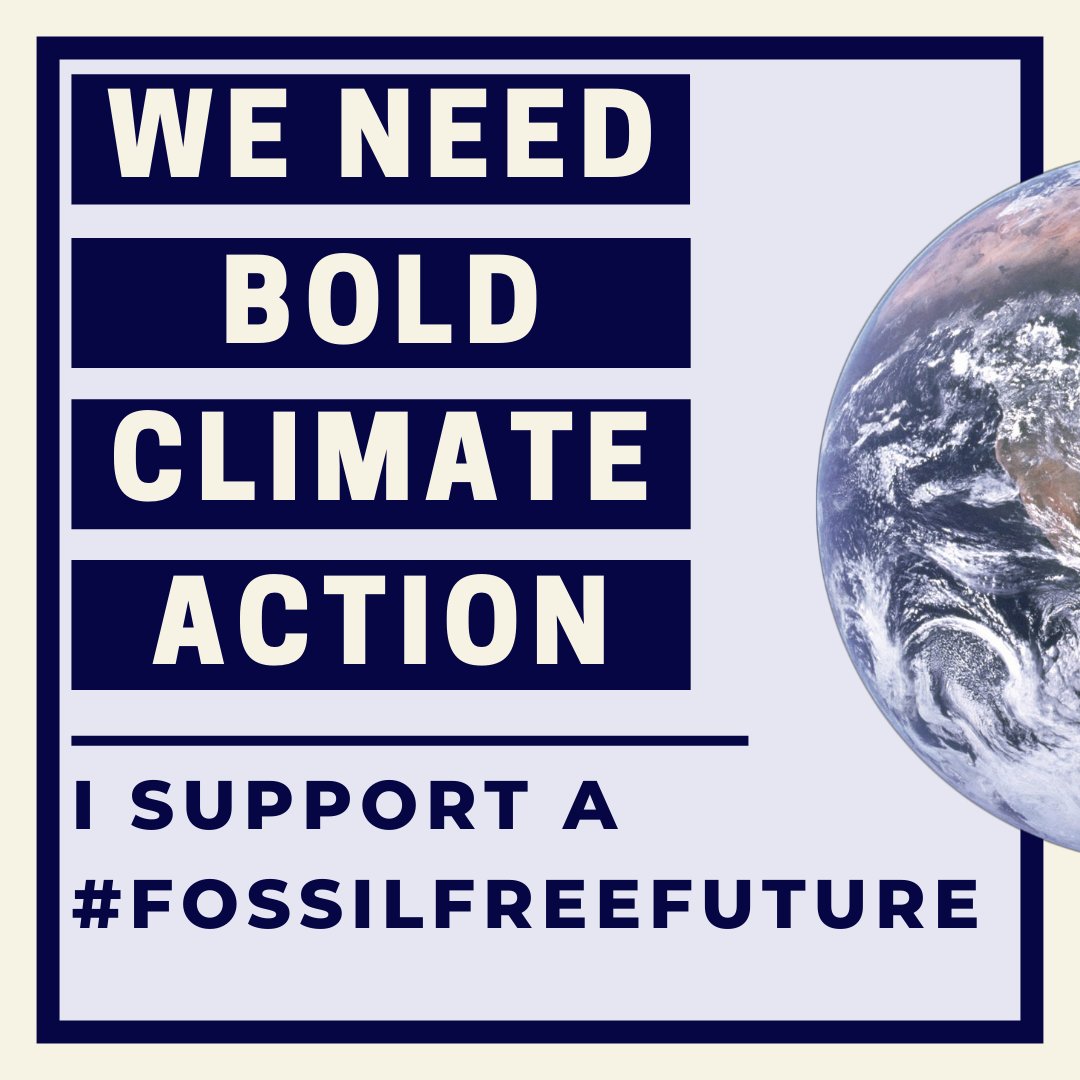 Rep. Ann Williams tweet media