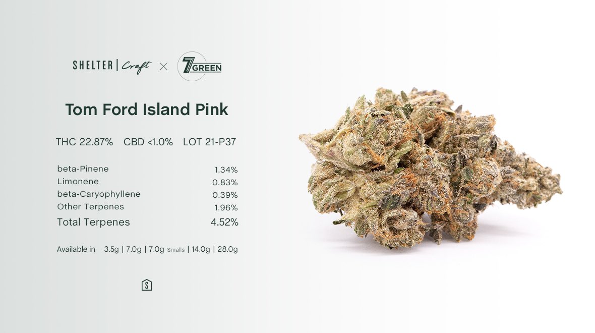 Shelter_Market's tweet photo. .@7greengrows Tom Ford Island Pink Kush is an exotic Indica-dominant hybrid cultivar with dense forest-green and trichome-rich buds, and a warm honey/tart lemon aroma. Grown in small batches and cured for 14 days in Kamloops, BC, this rare genetic boasts 3-5% total terps. https://t.co/dAruiTorug