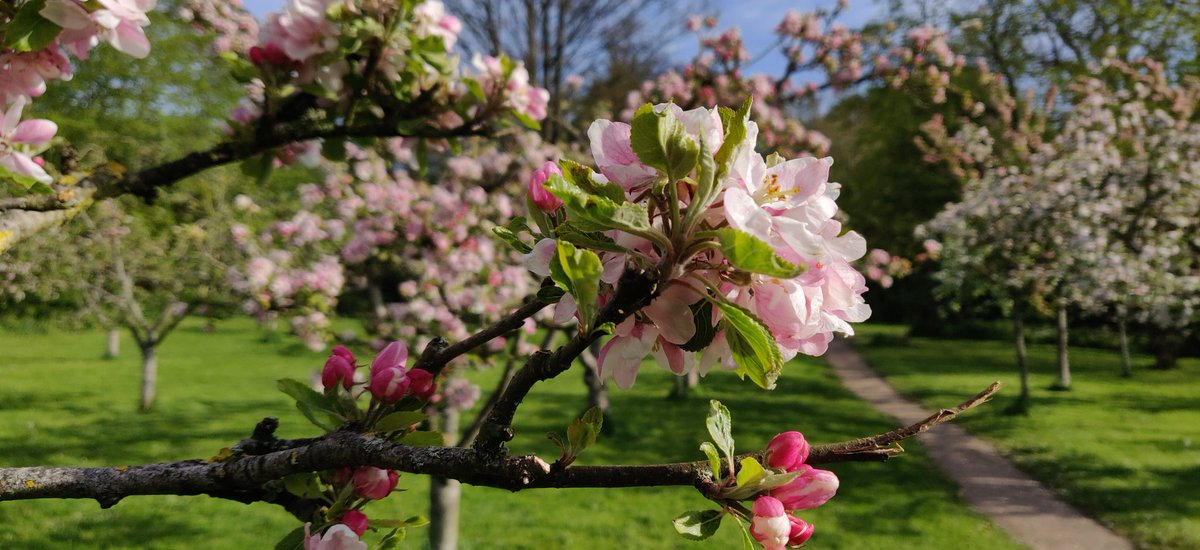 Well done to <a href="/PensionsAge/">Pensions Age</a>, sending out their magazine in paper envelopes not plastic coverings! #ProtectedPlanet