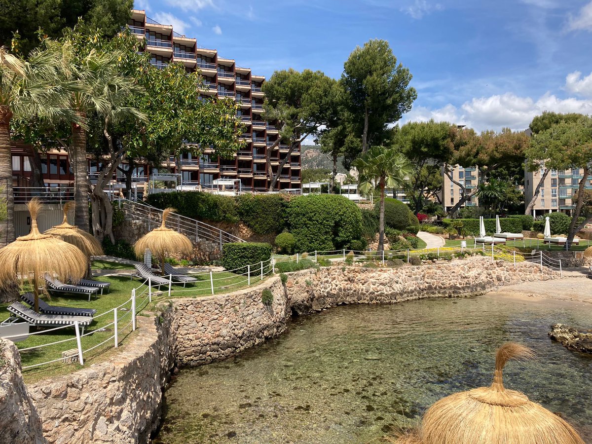 Jose Ramón RBorbolla tweet media