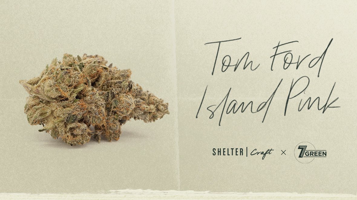 ShelterCannabis's tweet photo. .@7greengrows Tom Ford Island Pink Kush is an exotic Indica-dominant hybrid cultivar with dense forest-green and trichome-rich buds, and warm honey/tart lemon aroma. Grown in small batches and cured for 14 days in Kamloops, BC, with 3-5% total terps. Now on @shelter_market https://t.co/Tubik72OZ5
