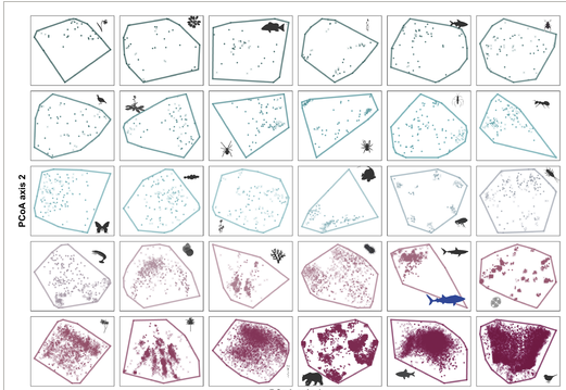 ReeFishNews's tweet photo. A synthesis on how to build and analyse species trait space
How many dimensions?
Quality of trait space?
How many clusters?
How many unique species?
Robustness to trait omission?
https://t.co/D3QRKWucKR
R codes available
https://t.co/9rn0wHO2YT
Funded by @FRBiodiv #CESAB #EDF https://t.co/clEoknjkgE