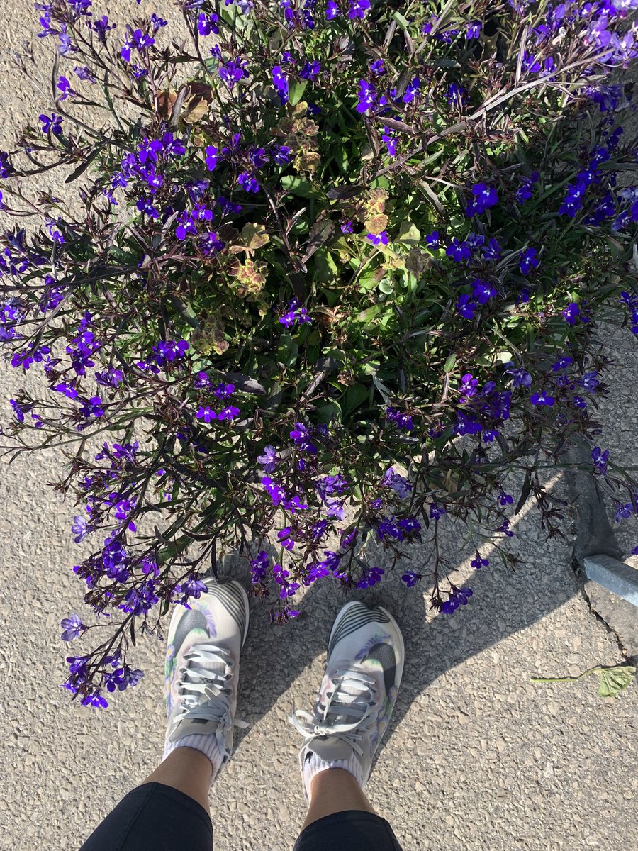 NeetaDutta7's tweet photo. View from #whereistand @Victoria_Renton #SheridanCollege #mktg56693 https://t.co/39HiaU1H4e