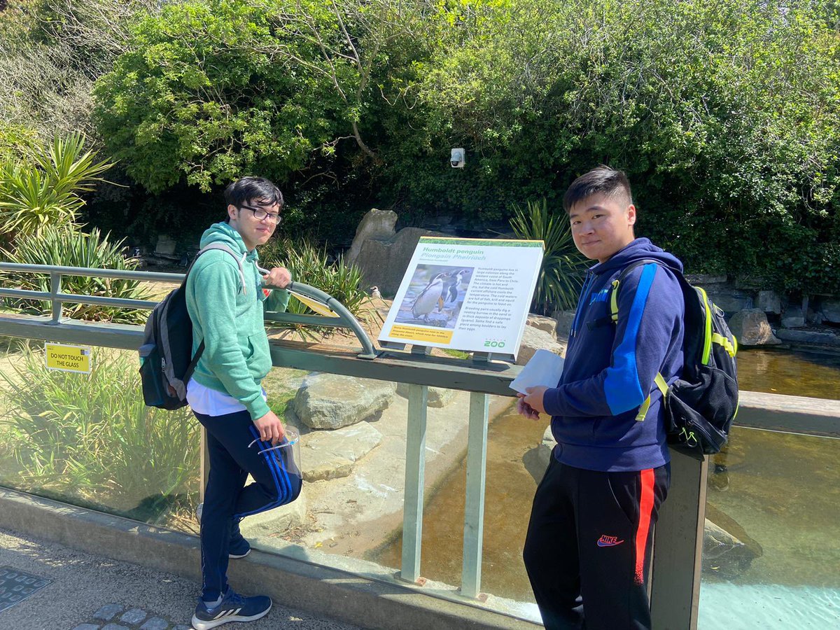 St_Marys_cbs's tweet photo. Our TY’s enjoyed a day out @DublinZoo They learned about the conservation project and the habitats that the animals live in #tyactivities #ty21 https://t.co/cUyLgoane0