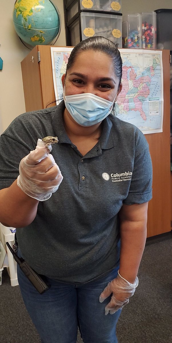 KaraGerman1's tweet photo. Thank goodness Ms. Nancy was able to come save our little friend and take him back out to the trees! https://t.co/YzHBfN76HZ