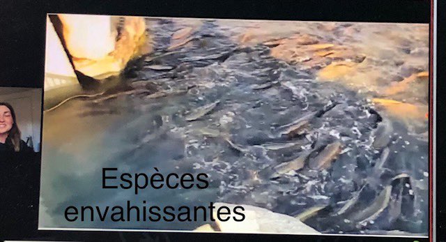 Ne pouvant s'y rendre en personne, les élèves de Mme Beites font une visite virtuelle au parc Tommy Thompson dans le cadre d'un cours de sciences #cf #apprentissagevirtuel <a href="/CSViamonde/">CS Viamonde</a>