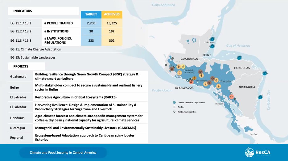 Horacio Rodríguez tweet media