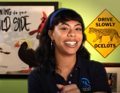 Partners in Flight tweet media