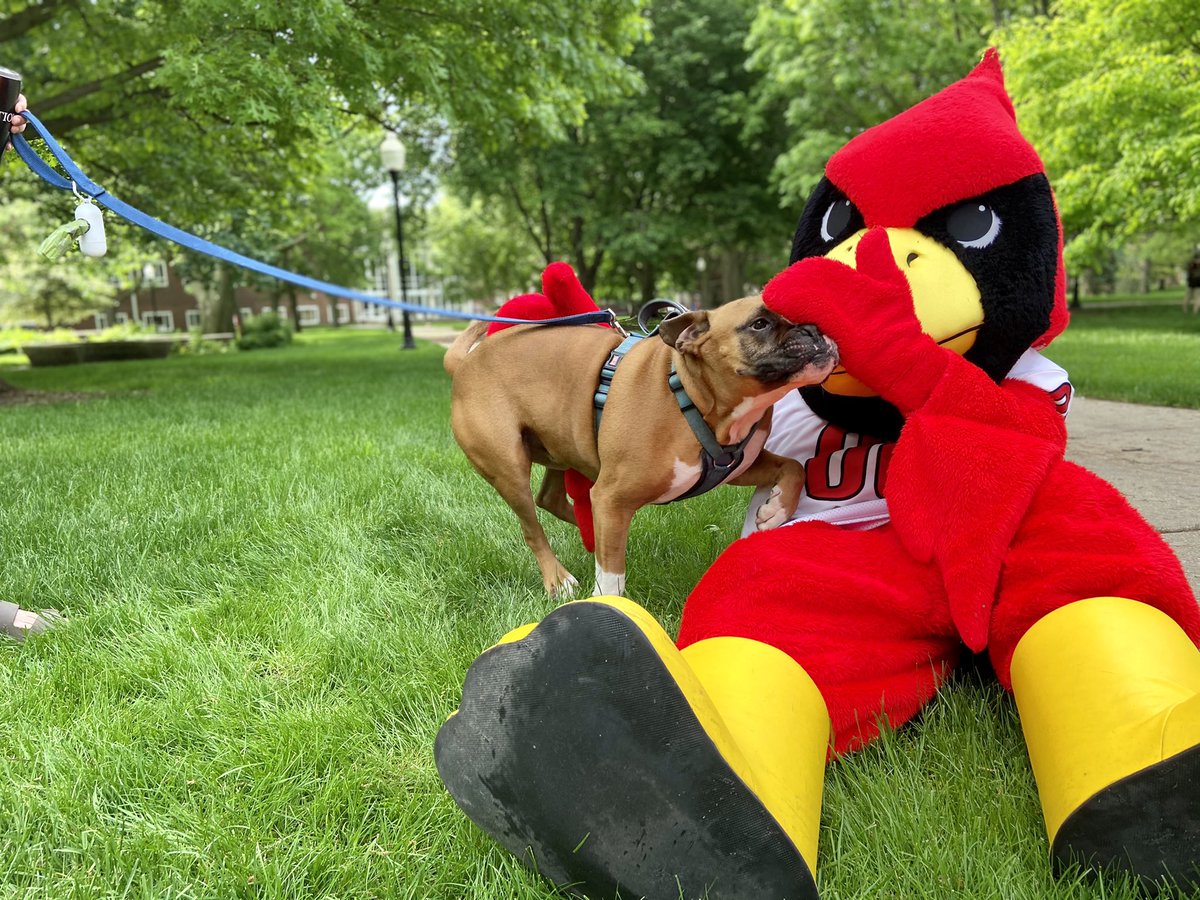 🎶 People let me tell you ‘bout my beeeeest frieeeeend 🎶