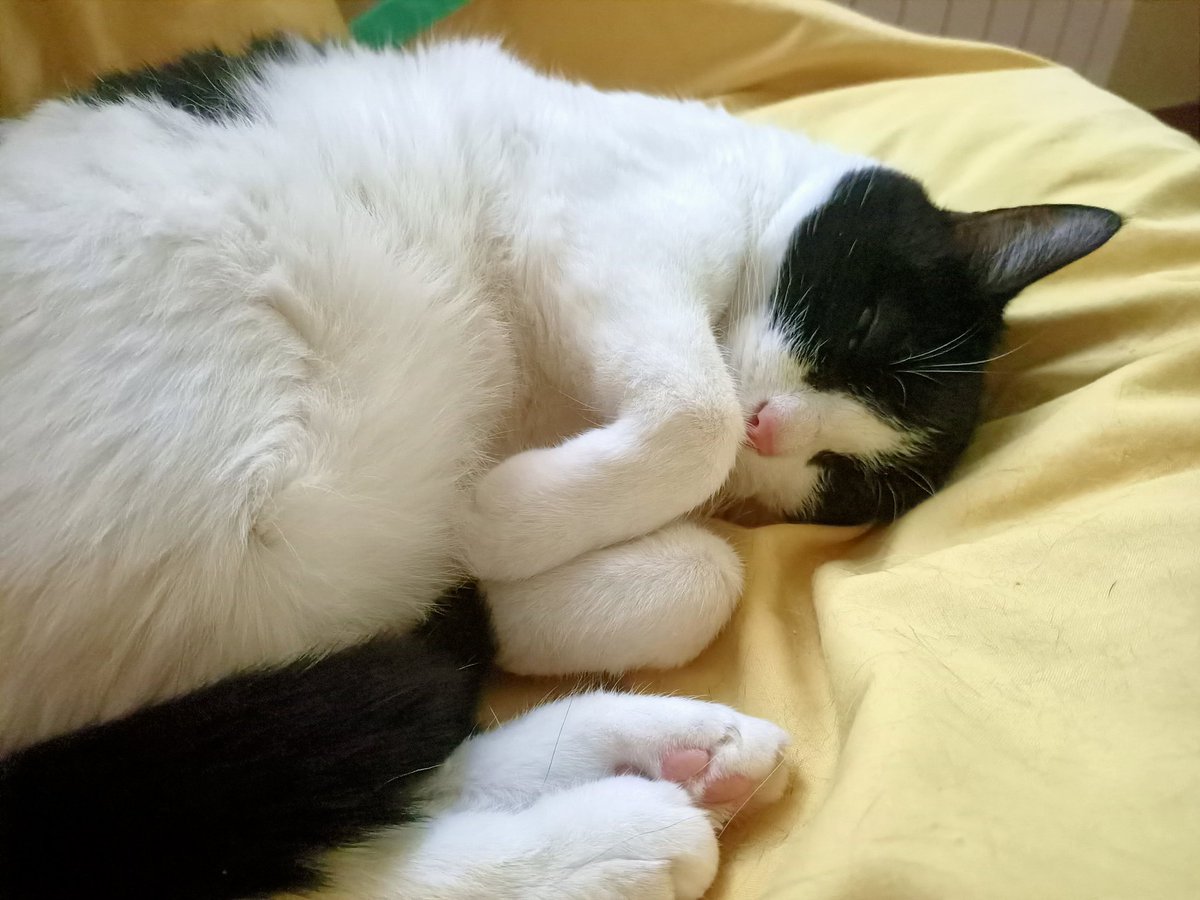 elisenprovence's tweet photo. @MariannickDeban On fait aller.
🥰
#Minnieforever https://t.co/hmm0GzHuri