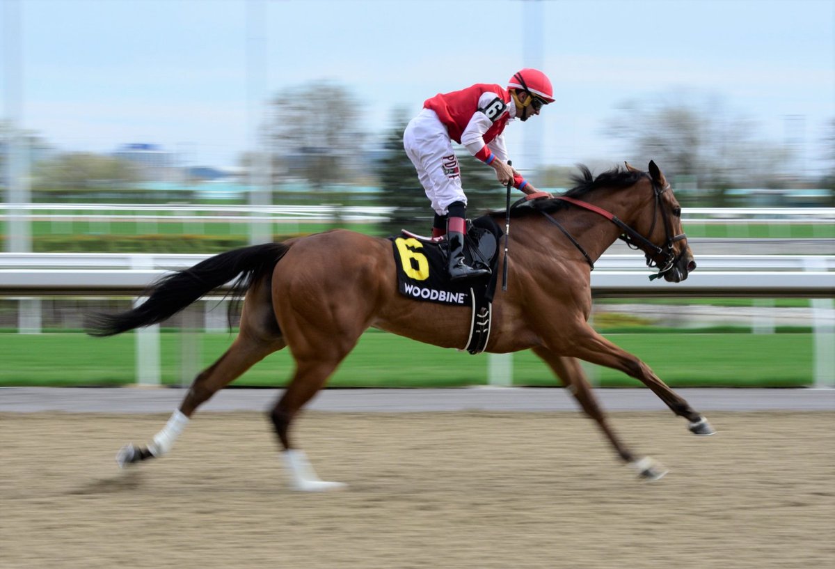 This, my photo taken two years ago at Woodbine. #outdoorsport @ONThealth, @celliottability, @fordnation