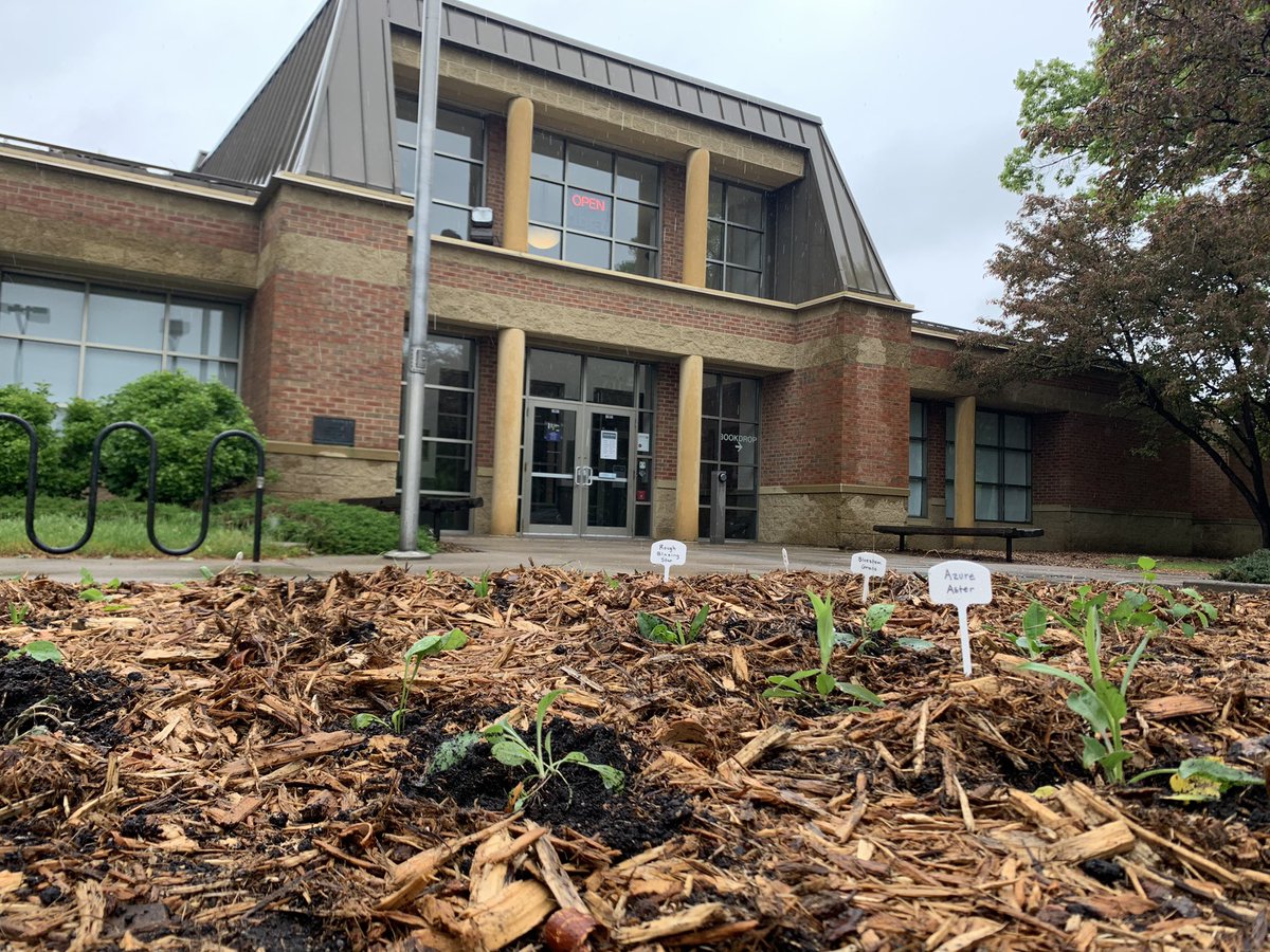 GrowGreenHearts's tweet photo. Pink rain boots, tiny shovels, &amp; healthy #natureplay!  Kids and families with Northtown Library have been working with #GrowingGreenHearts💚 since Jan. ❄️ to learn about #prairieplants 🌻🌱🌼to help birds, butterflies, soil, #CleanWater #bees #climate @AnokaCoLibrary #enviroSTEM https://t.co/FXYeCWsxA5
