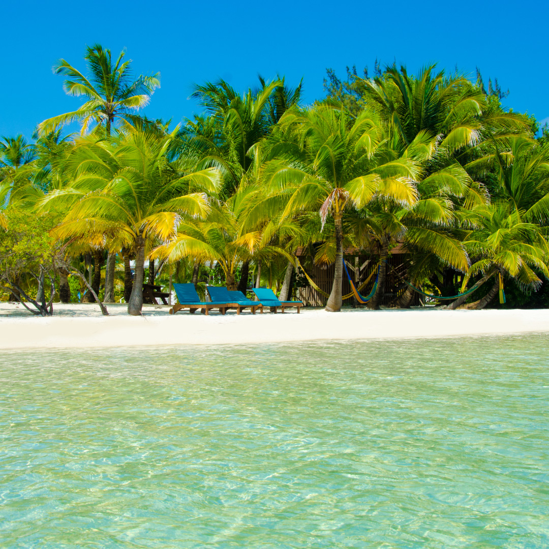 CochaViajes's tweet photo. Aquí... acumulando ganas de viajar. ¿Y Ustedes?
Les dejamos esta bella imagen del Caribe, para que no extrañen tanto...😄
.
.
.
#viajaseguro #viajainformado #viajaflexible #viajamejor #caribe #allinclusive #fullflex #viajes #programatuviaje #pagaahoraviajadespues https://t.co/UCACmMrBXq