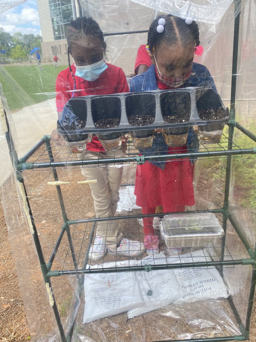anesha_williams's tweet image. Observing all the new additions to our greenhouse.#stem #thecertifiedway #thetagway #thetagexperience #changeagents