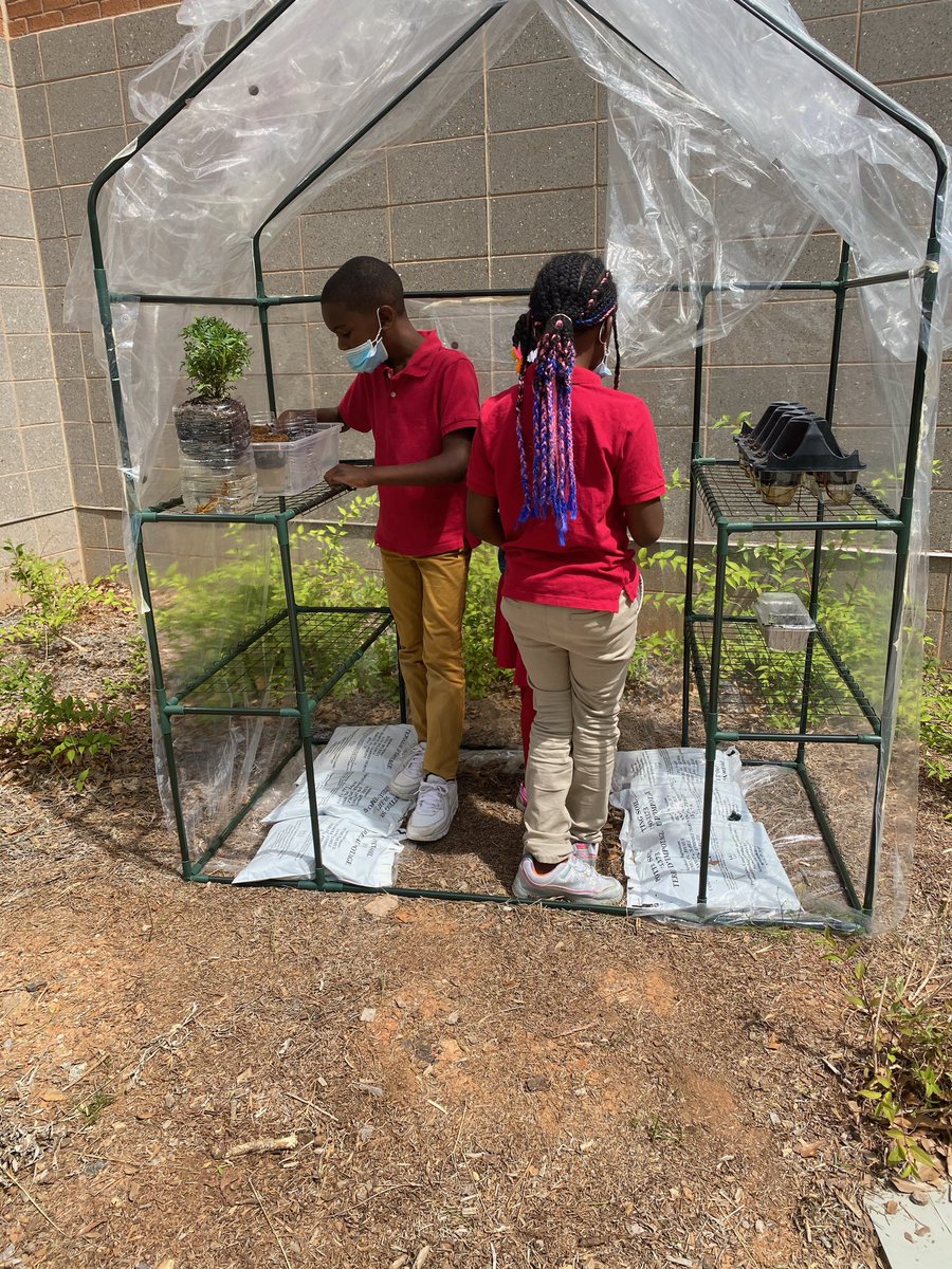 anesha_williams's tweet image. Observing all the new additions to our greenhouse.#stem #thecertifiedway #thetagway #thetagexperience #changeagents