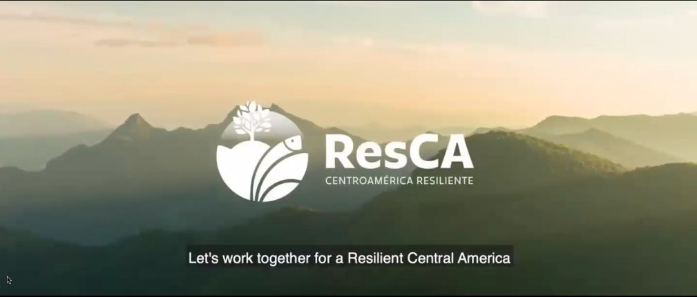 FUNDEMAS tweet media